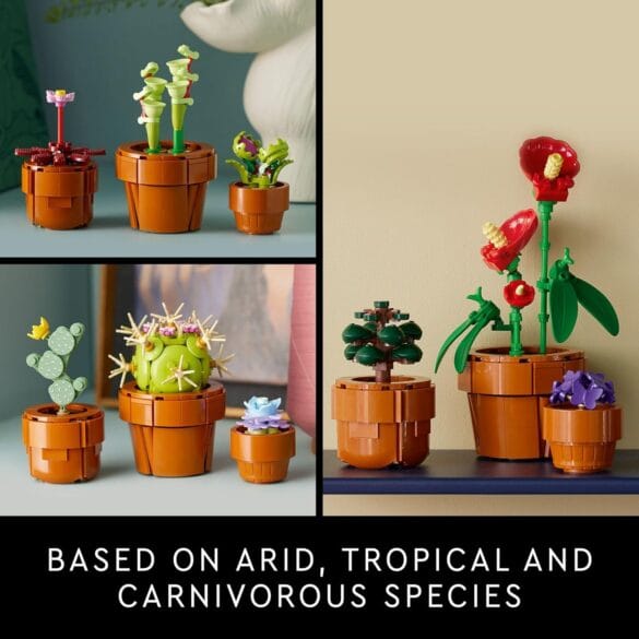Valentine's Day Gift