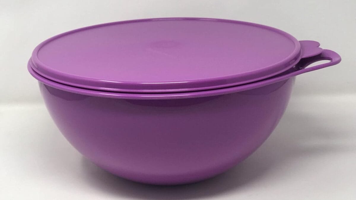 Best Of the Best Bowls for Every Meal on Amazon