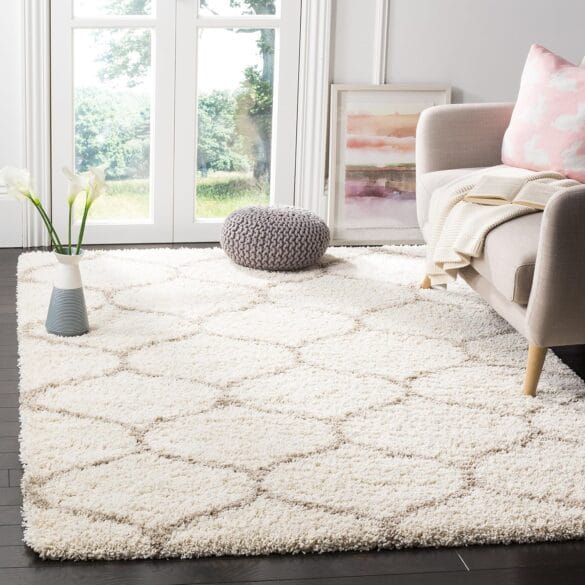 Cozy Area Rugs