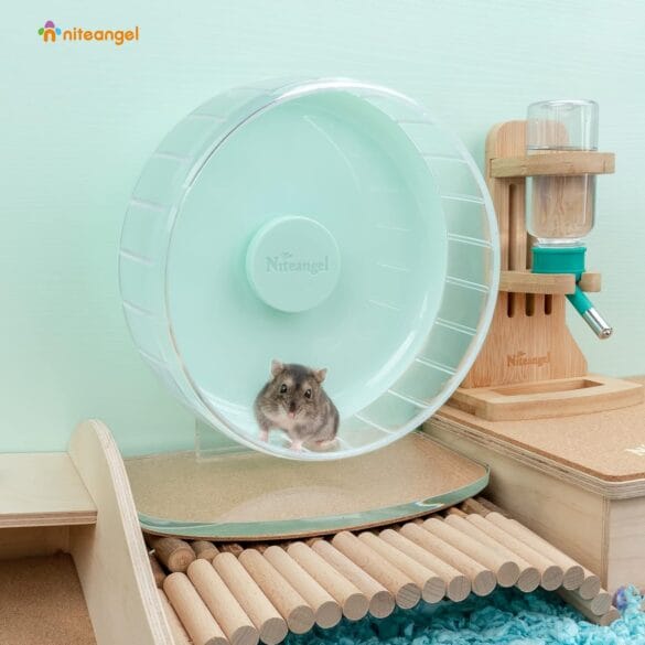 Animal Wheels