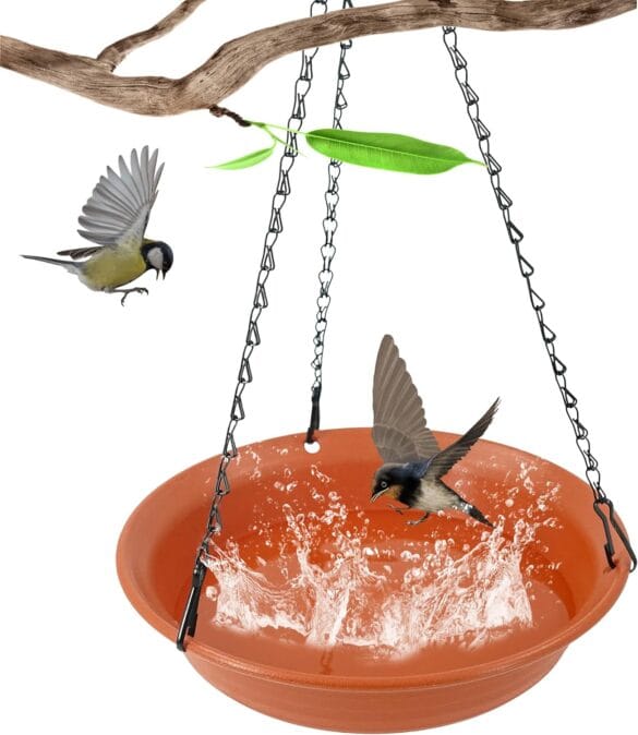 Bird Bathing
