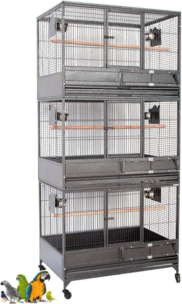 Bird Cages