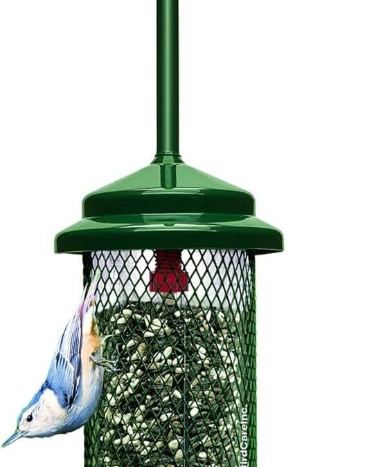 Top Bird Feeders You’ll Wish You’d Bought Sooner – Buy Now!