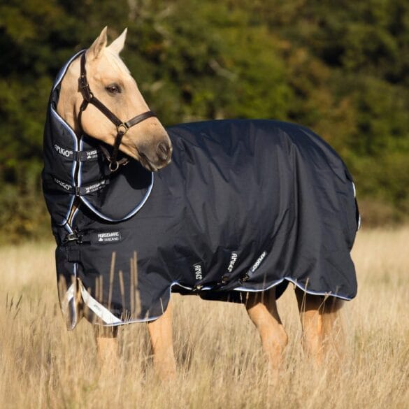 Horse Blankets