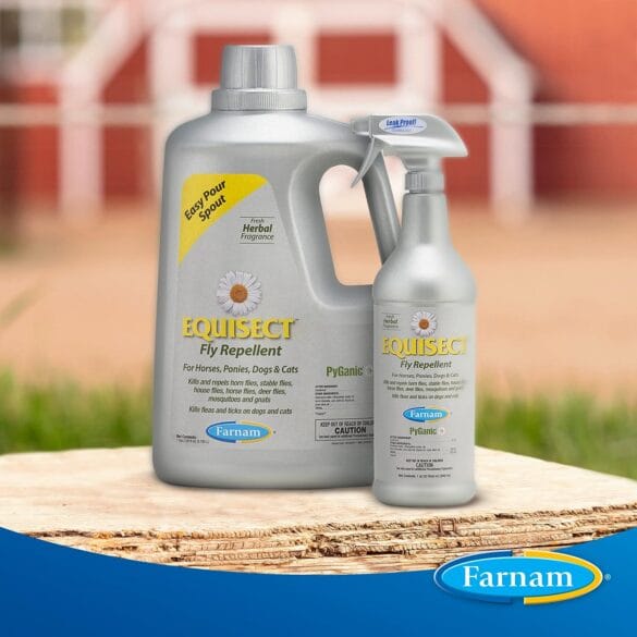 Horse Fly Control