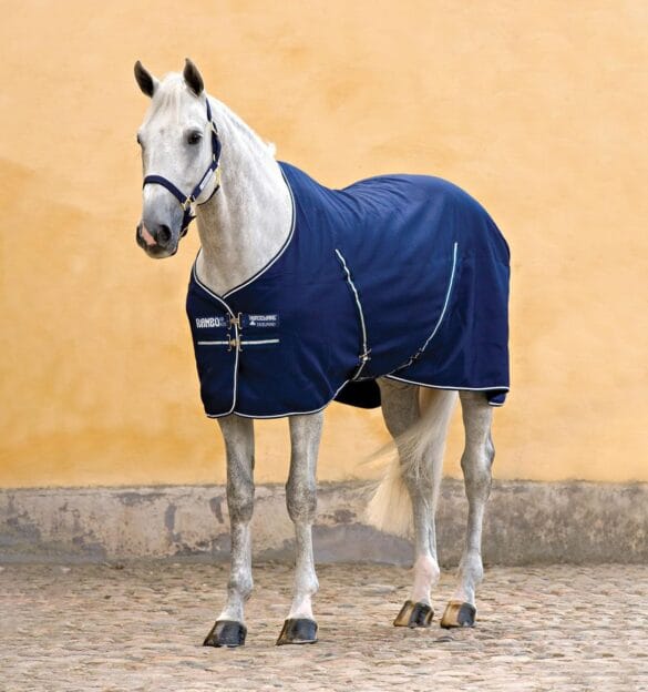 Horse Stable Supplies