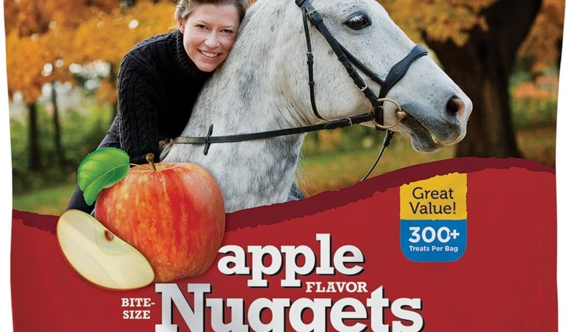 Top Horse Treats to Buy Now – Best Picks for 2025