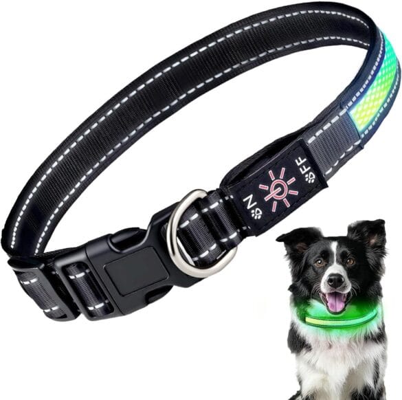 Pet Clothing