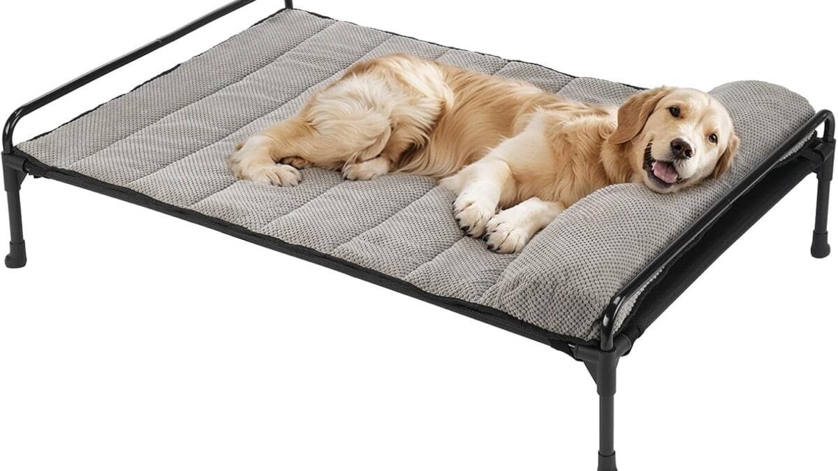 Top Pet Cooling Products: Beat the Heat Now!