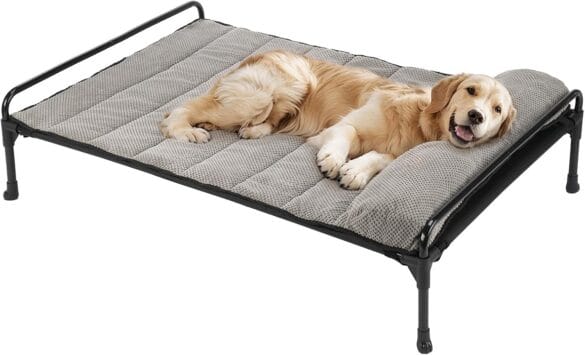 Pet Cooling Products
