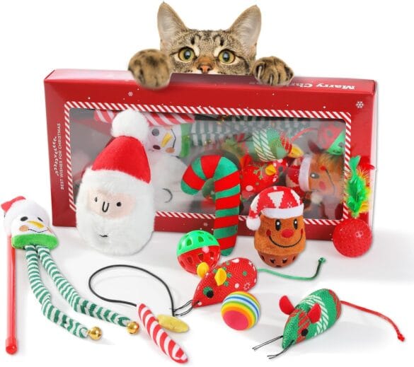 Pet Holiday Items