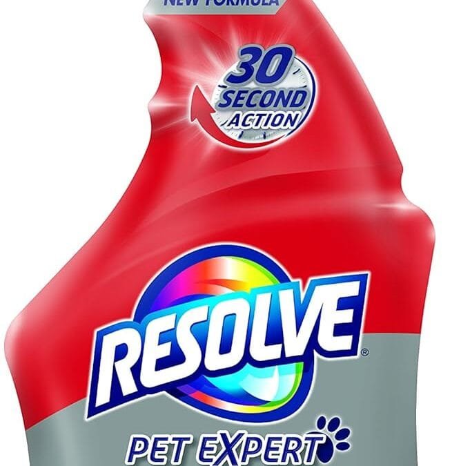 Say Goodbye to Pet Odors: Top 10 Products You Need to Try Now