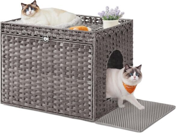 Pet Products