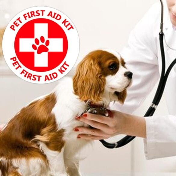 Pet Safety