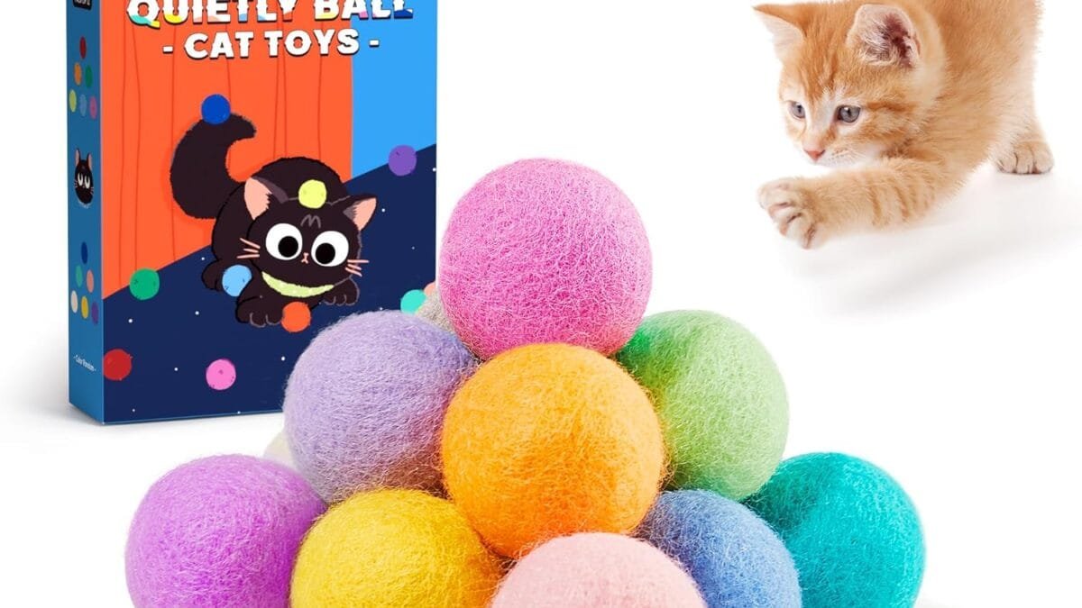 Best Pet Subscription Boxes – Shop Now