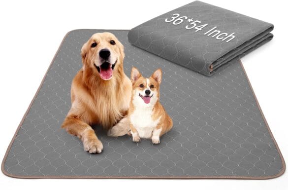 Pet Training Mats
