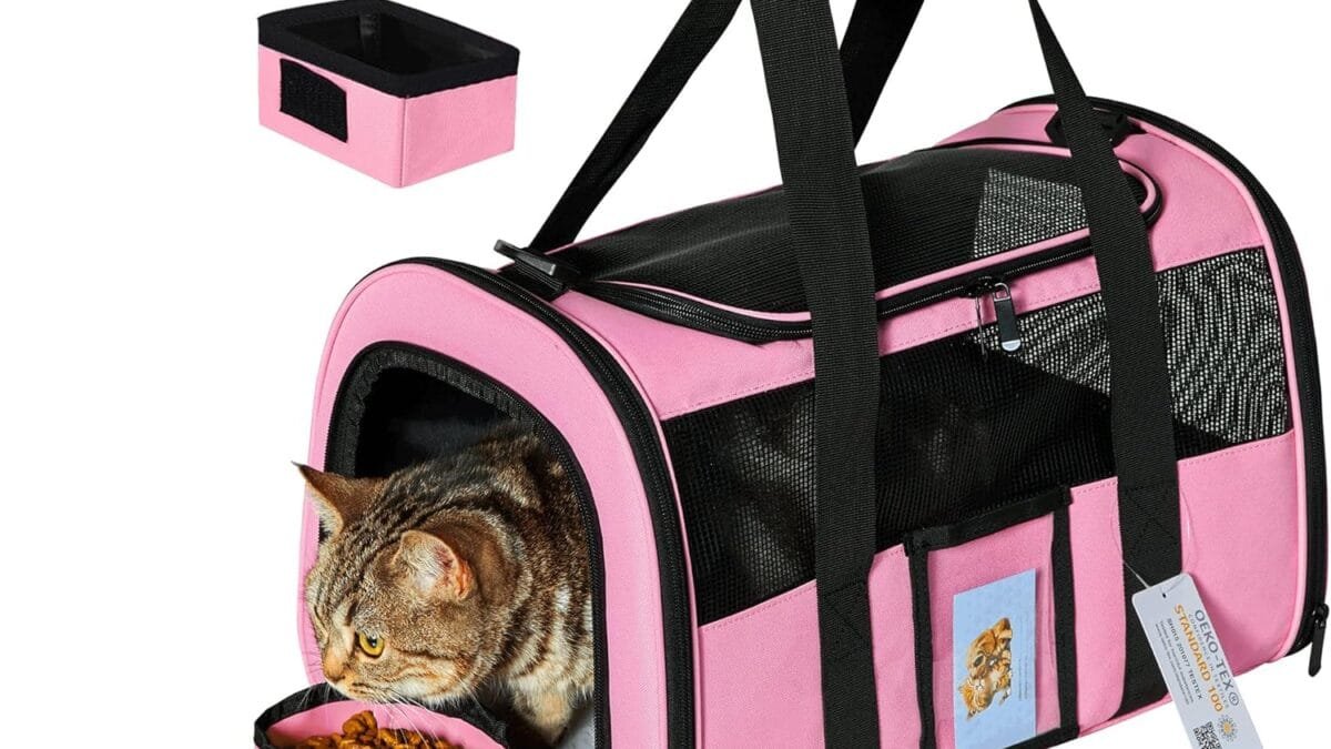 Best Pet Travel Gear – Shop Now on Amazon