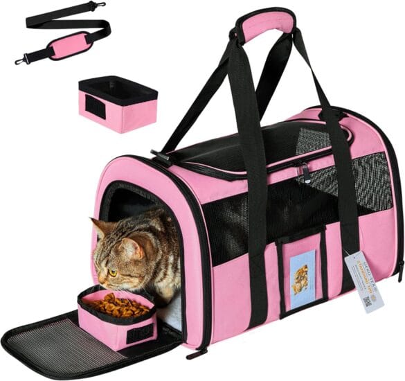 Pet Travel Gear