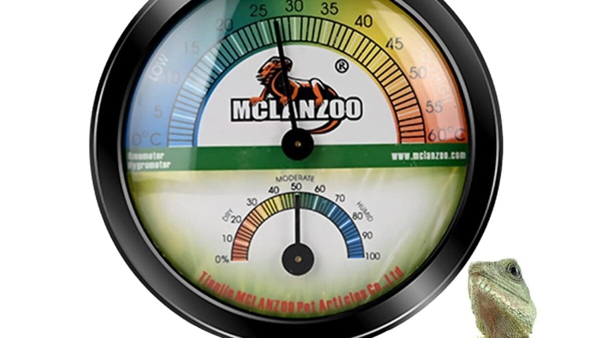 Best Of the Best Reptile Humidity Tools