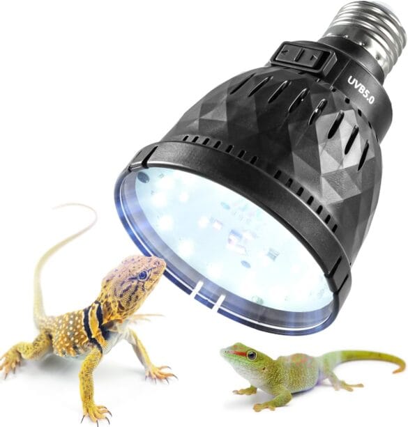 Reptile Lighting