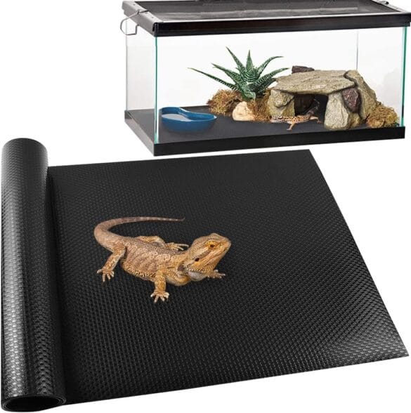 Reptile Terrariums