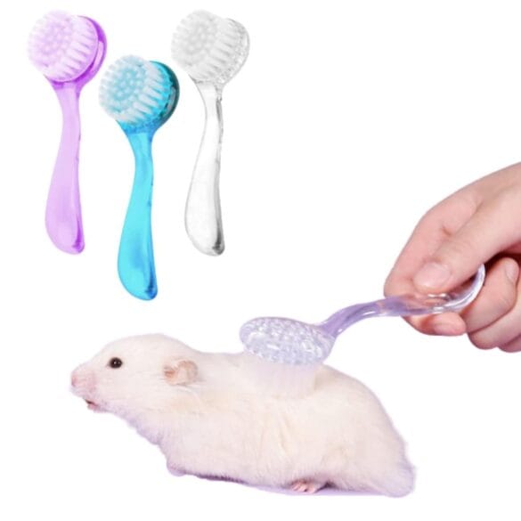 Small Animal Grooming Tools