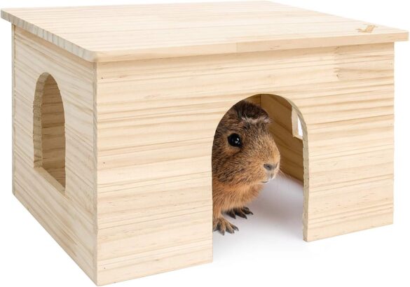 Small Animal Hideouts