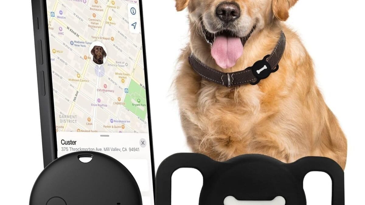 Best Smart Pet Tech – Shop Now