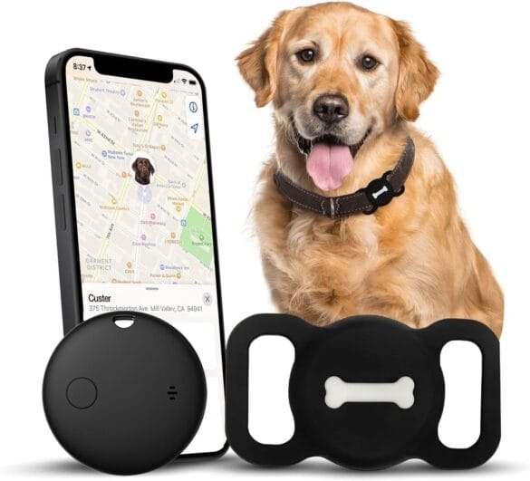 Smart Pet Tech