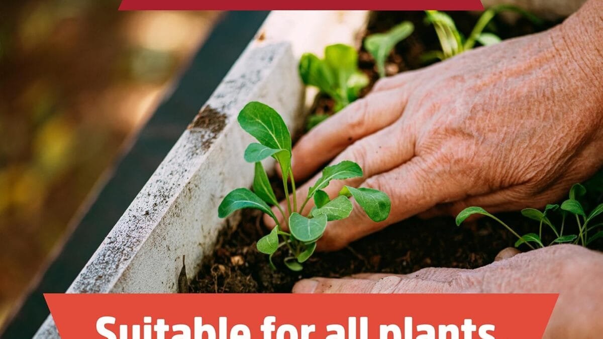 Ultimate Guide to the Best Garden Soil for Plants