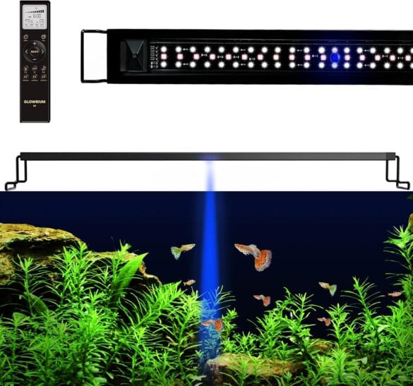 Aquarium Lighting