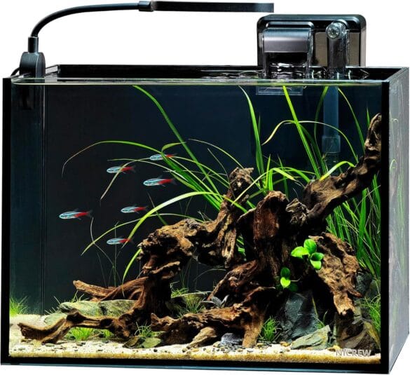 Aquariums