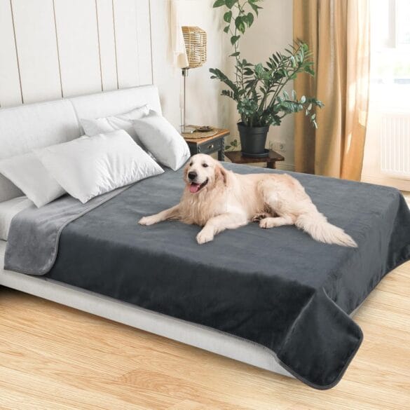 Bedroom Furniture