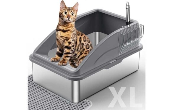 Best Cat Litter Boxes: Open, Hooded, and Self-Cleaning on Amazon