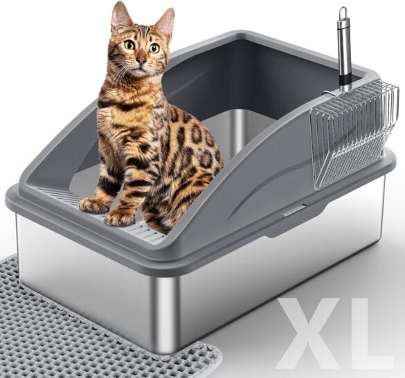 Best Cat Litter Boxes