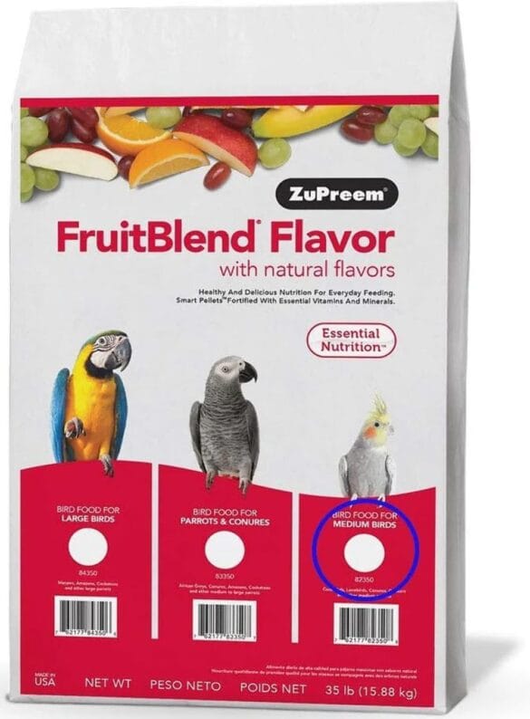 Bird Food