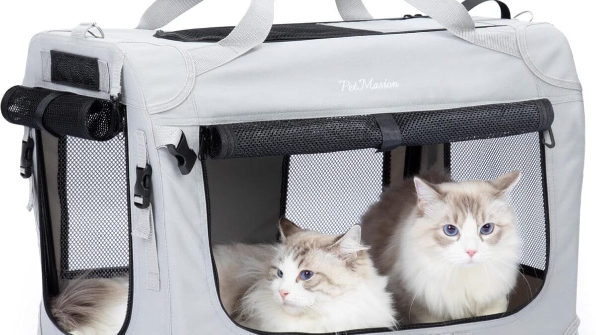 Best Cat Carriers—Hard-Sided, Soft, and Strollers on Amazon—Shop Now!