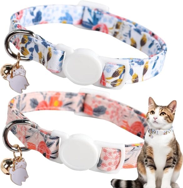 Cat Collars