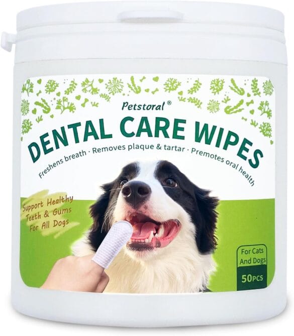 Cat Dental Care Pastes