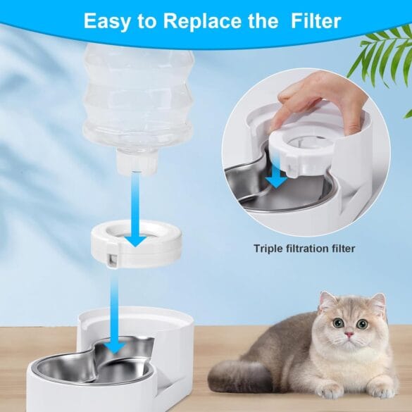 Cat Enclosures