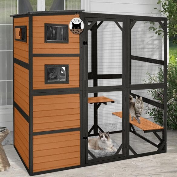 Cat Enclosures
