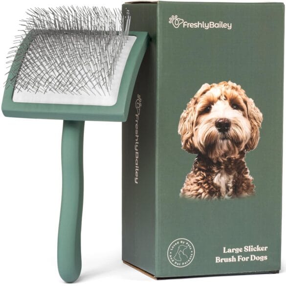 Cat Grooming Supplies