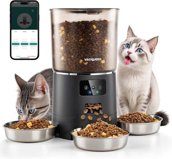 Cat Scratchers