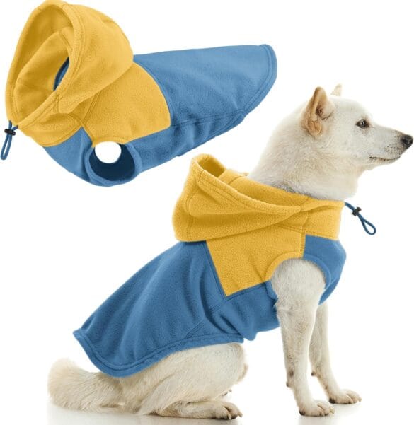 Dog Apparel