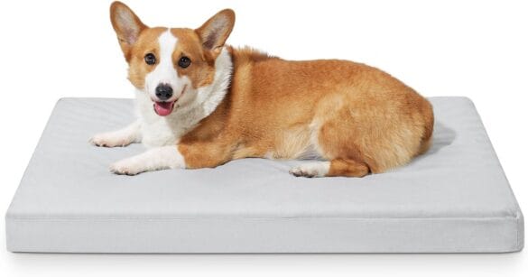 Dog Bed