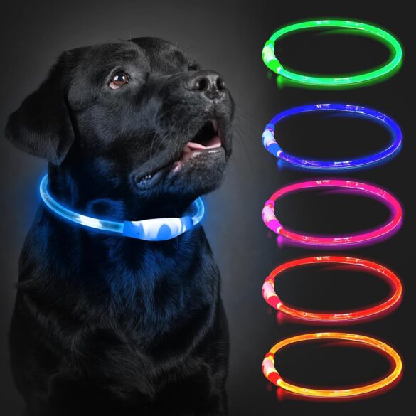 Dog Collars
