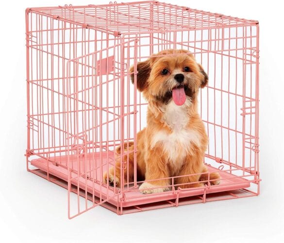Dog Crates