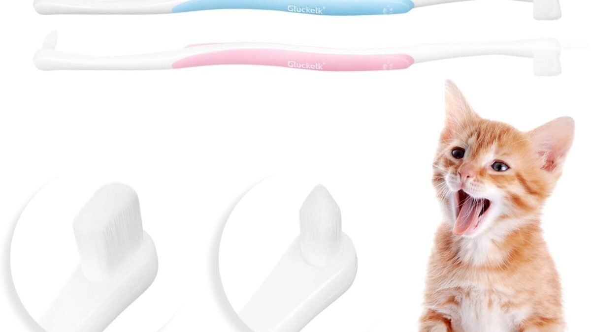 Best Dog Dental Care: Brushes, Chews, Additives on Amazon – Shop Now