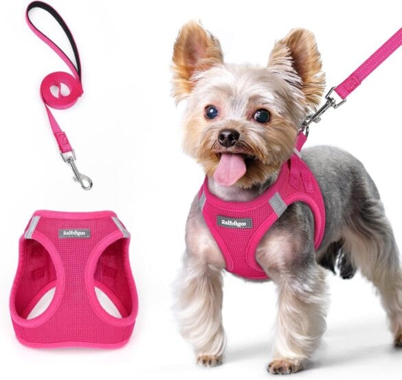 Dog Harnesses