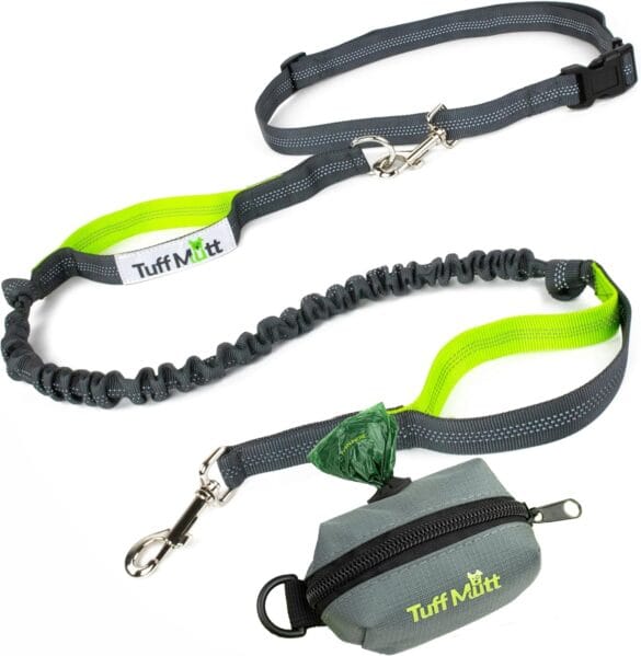 Dog Leashes